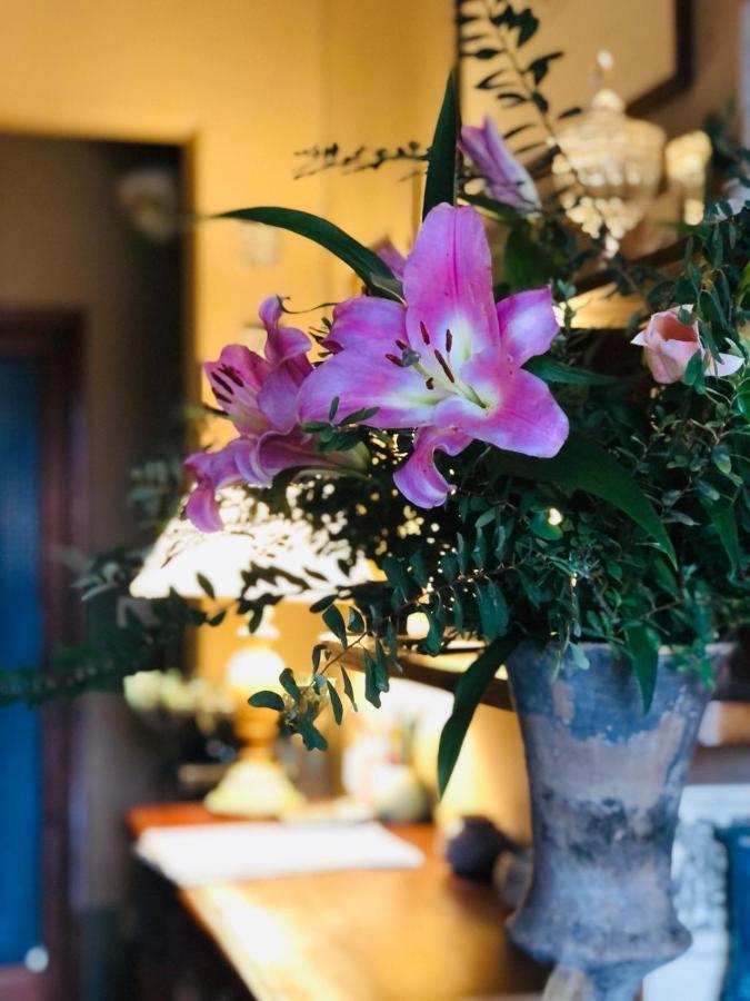 マリーナ・ディ・マッサ Casa Cambini Bed & Breakfast エクステリア 写真