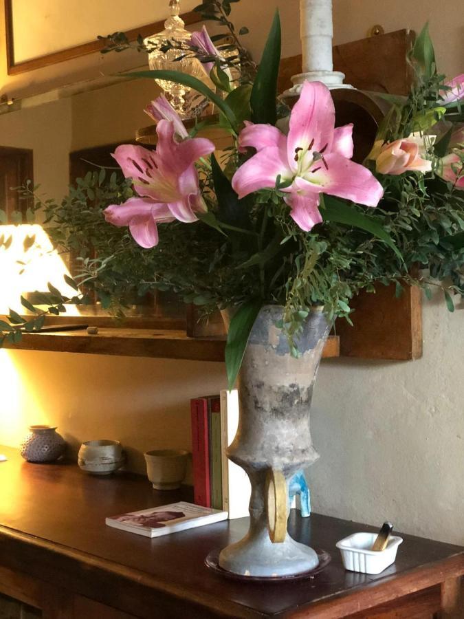 マリーナ・ディ・マッサ Casa Cambini Bed & Breakfast エクステリア 写真