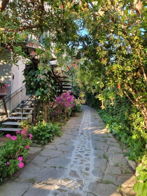マリーナ・ディ・マッサ Casa Cambini Bed & Breakfast エクステリア 写真