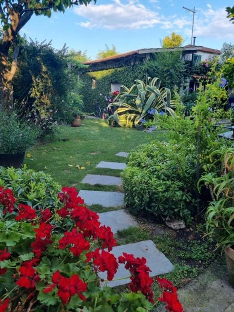 マリーナ・ディ・マッサ Casa Cambini Bed & Breakfast エクステリア 写真