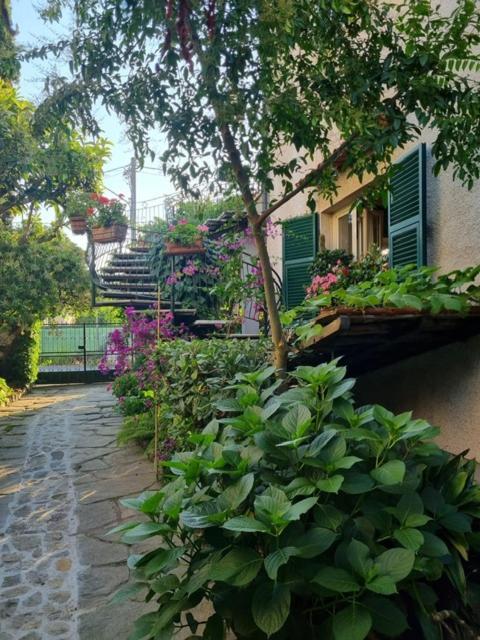 マリーナ・ディ・マッサ Casa Cambini Bed & Breakfast エクステリア 写真